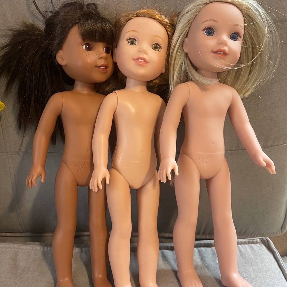 american girl wellie wisher doll lot